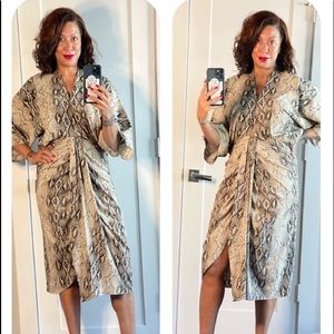 Zara Snake Print Dress